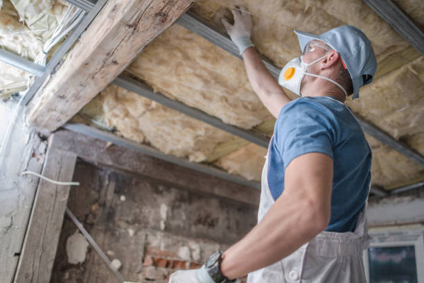 Best Geographic-Specific Insulation Services in Carlyss, LA