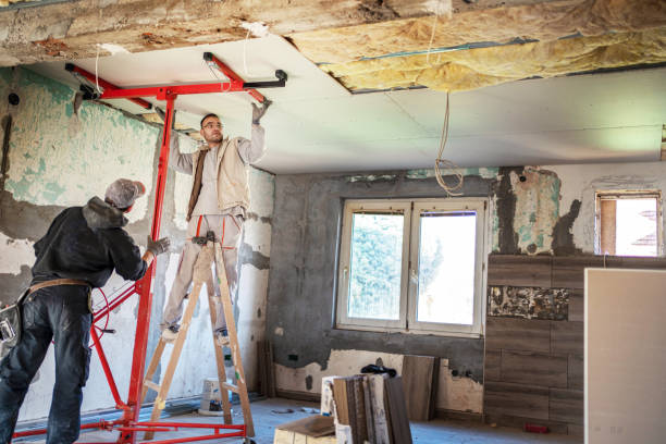 Best Spray Foam Insulation in Carlyss, LA
