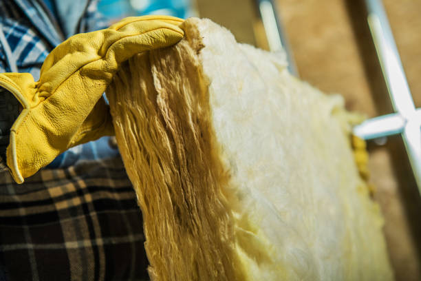 Best Blown-in Insulation in Carlyss, LA