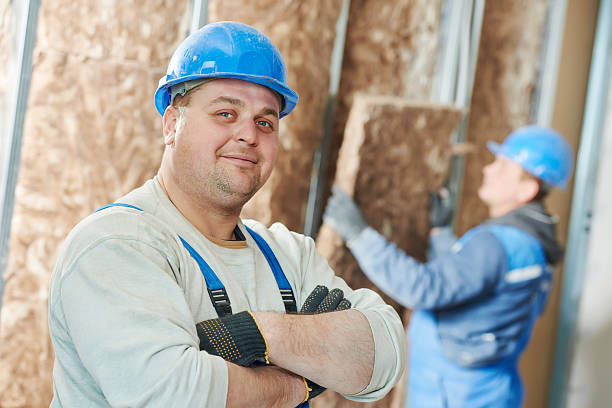 Best Geographic-Specific Insulation Services in Carlyss, LA