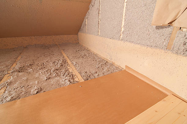 Best Cellulose Insulation in Carlyss, LA