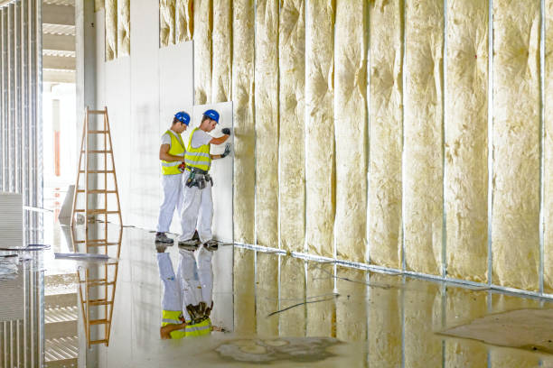 Best Cellulose Insulation in Carlyss, LA